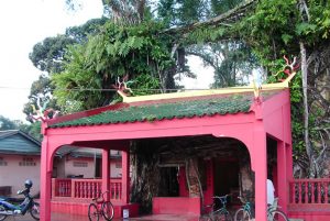 kelenteng-beringin-tree-temple-di-tanjungpinang-bintan-kepri-_171008180033-537[1]